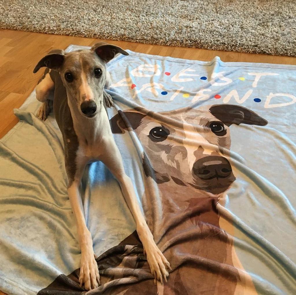 Custom Blanket Pet Memorial Gifts Dog Portrait Blanket - Image 3