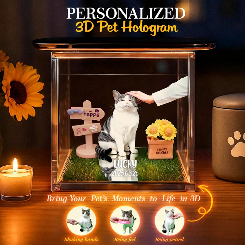Pet Holographic Lumina Boxes For Cats | High-Transmittance Holographic Material Image DIY Pet Holographic HouseUS