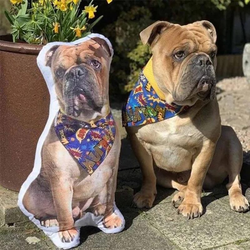 Dog Pillow Gifts For Pet Lovers – Shar Pei Dog