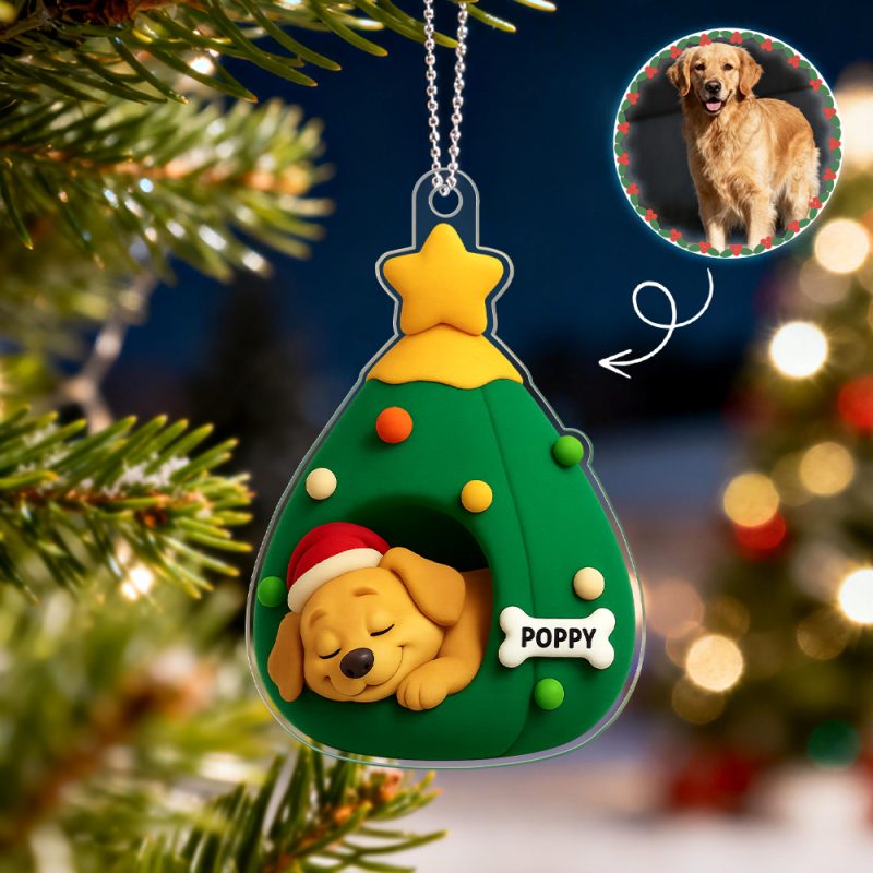 Christmas Gifts Custom Acrylic Car Hanger Pet Love In Stocking for Cute Pets Cats Xmas Lovely Gift In Memory of Your Pets Existence – SantaSocks