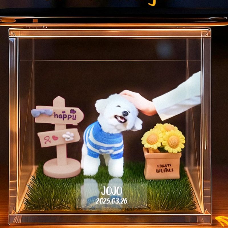 Pet Holographic Digital House | Pet Memorial Ornaments | High-Transmittance Holographic Material Image DIY Pet Holographic HouseUS