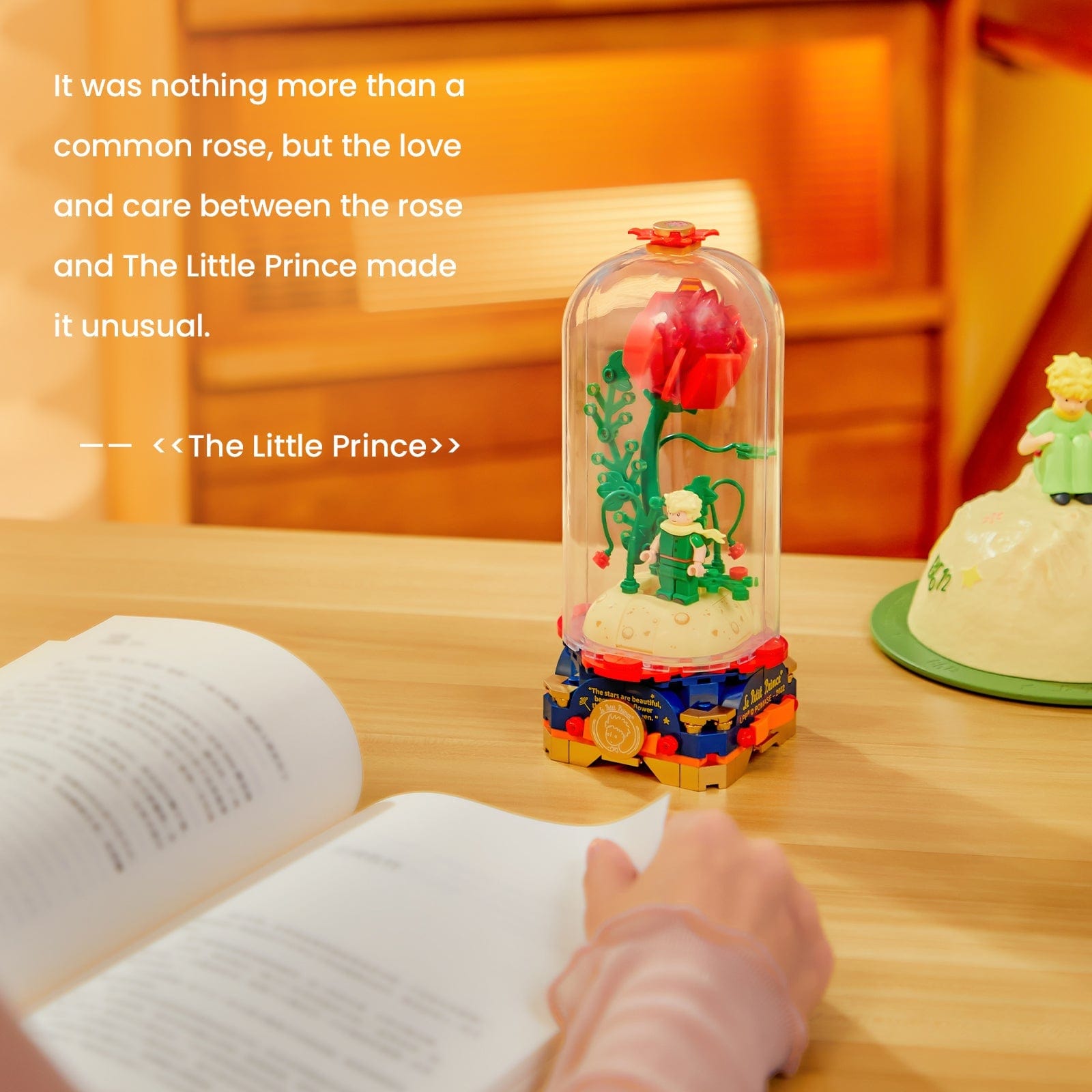 Pantasy Little Prince and Roses Building Block Toys Gift for Kids and Adults - Image 4