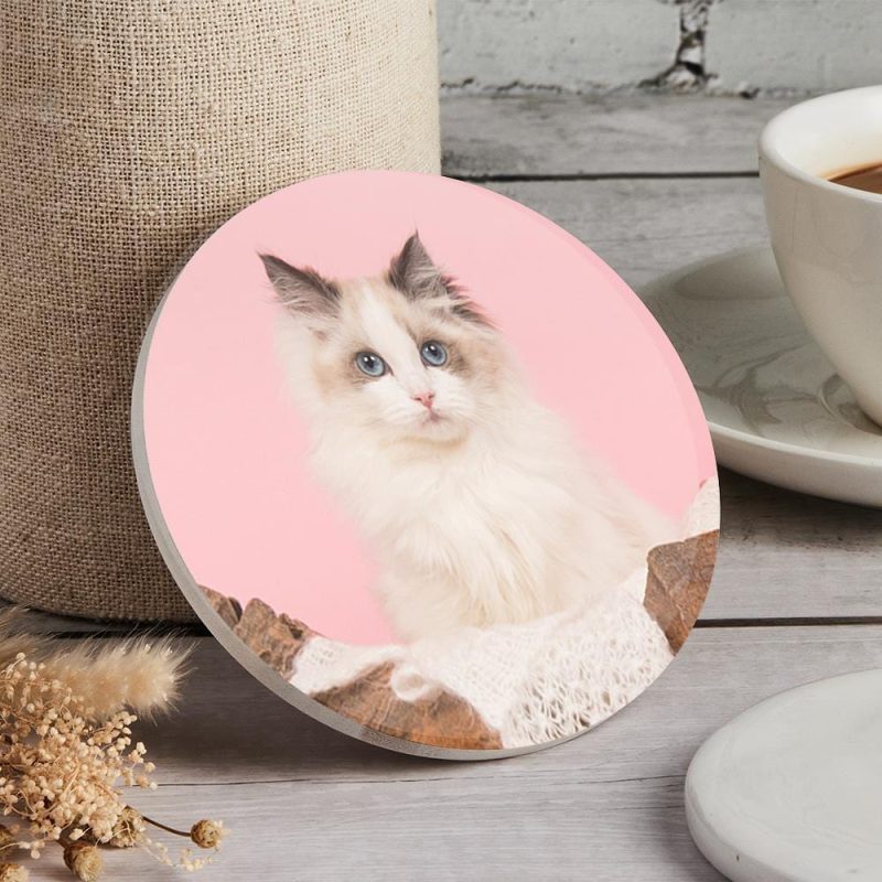 Cat Photo Coaster Gift For Pet Lovers
