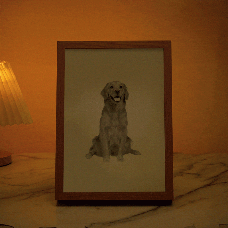 Personalized Photo Miracle Night Light with Custom Name Pattern Creative Gift for Pet Lover