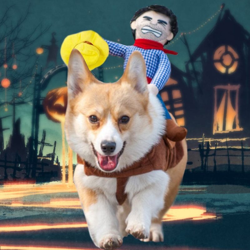 Halloween Cowboy Rider Dog Costume Knight Style with Doll for Halloween Day Pet Costume