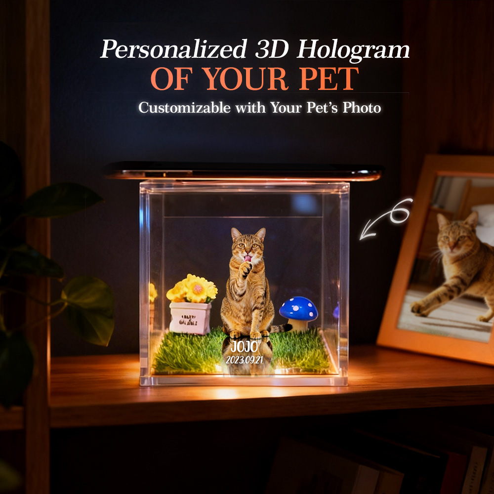 Pet Holographic Lumina Boxes For Cats | High-Transmittance Holographic Material Image DIY Pet Holographic HouseUS - Image 2