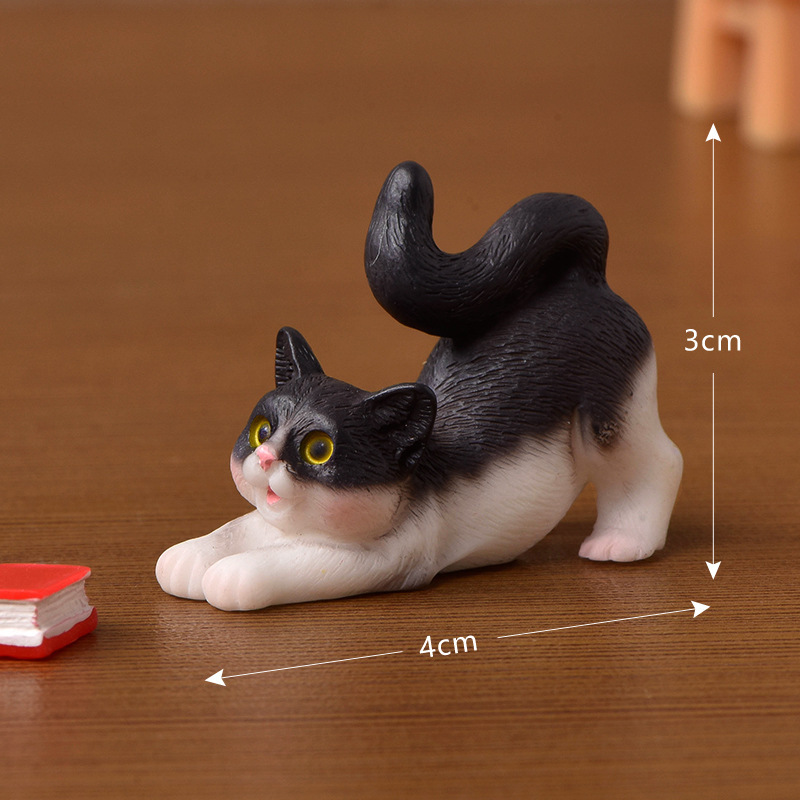 Cat C