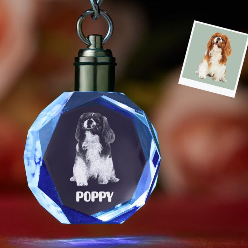 Custom Keychain Crystal Photo Keychain Octagon Shape Personalized Gifts for Pet Lovers