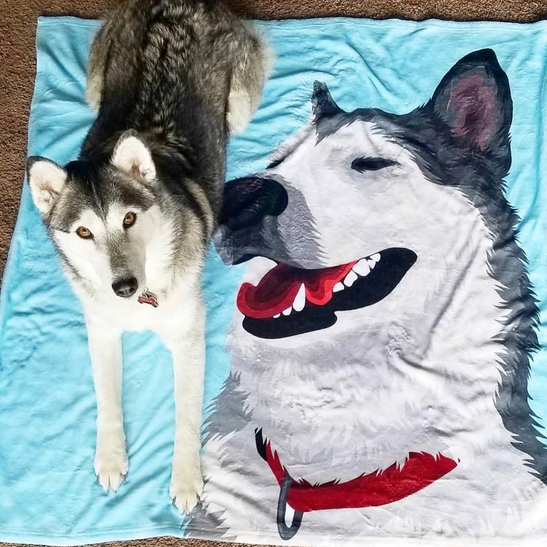 Custom Pet Blanket Photo Memorial Gifts - Image 5