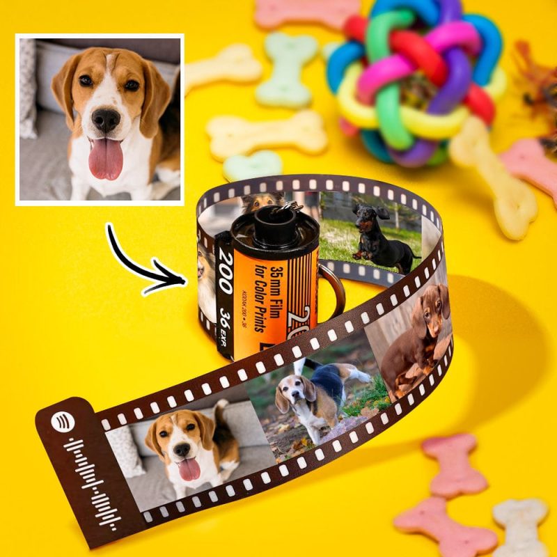Custom Film Roll Keychain Personalized Spotify Keychain Gifts For Pet Lover