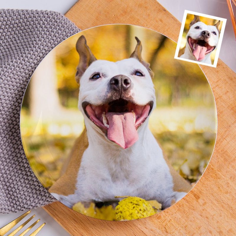 Custom Plates Photo Ceramics Plate Tableware Gifts for Pet Lovers