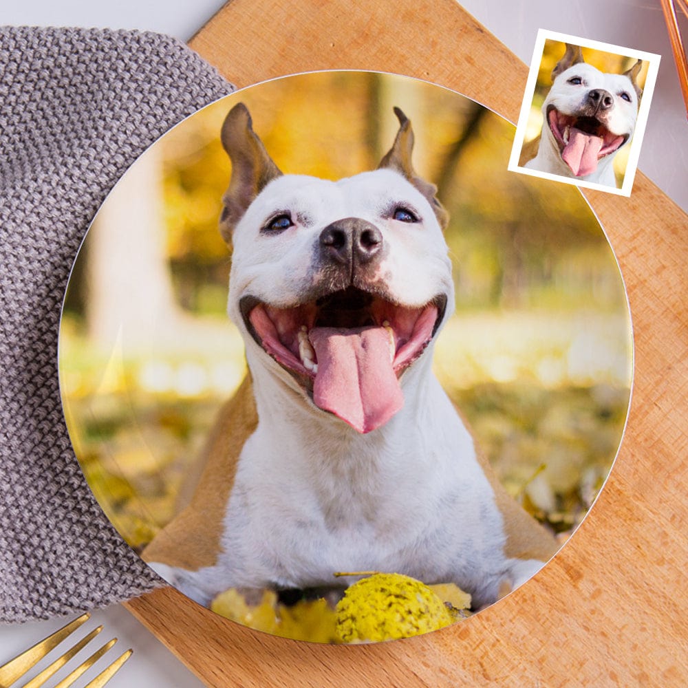 Custom Plates Photo Ceramics Plate Tableware Gifts for Pet Lovers