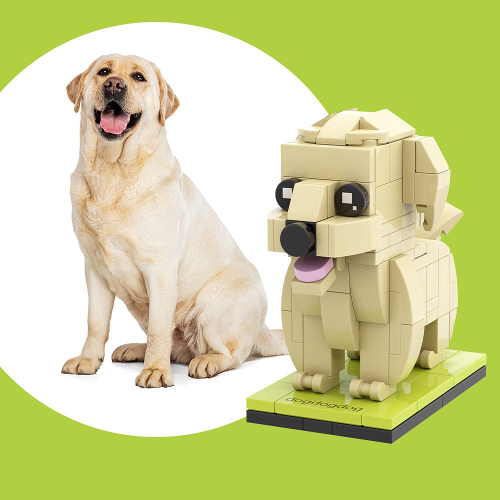 Fully Body Customizable Labrador 1 Dog Photo Custom Brick Figures Small Particle Block Brick Me Figures Customized Labrador Only - Image 2