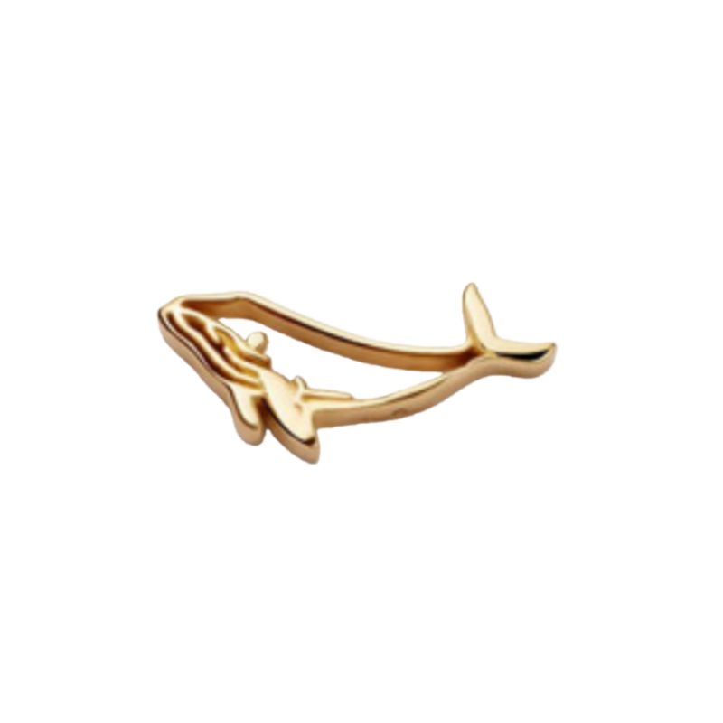 Locket Necklace Accessories Dolphin