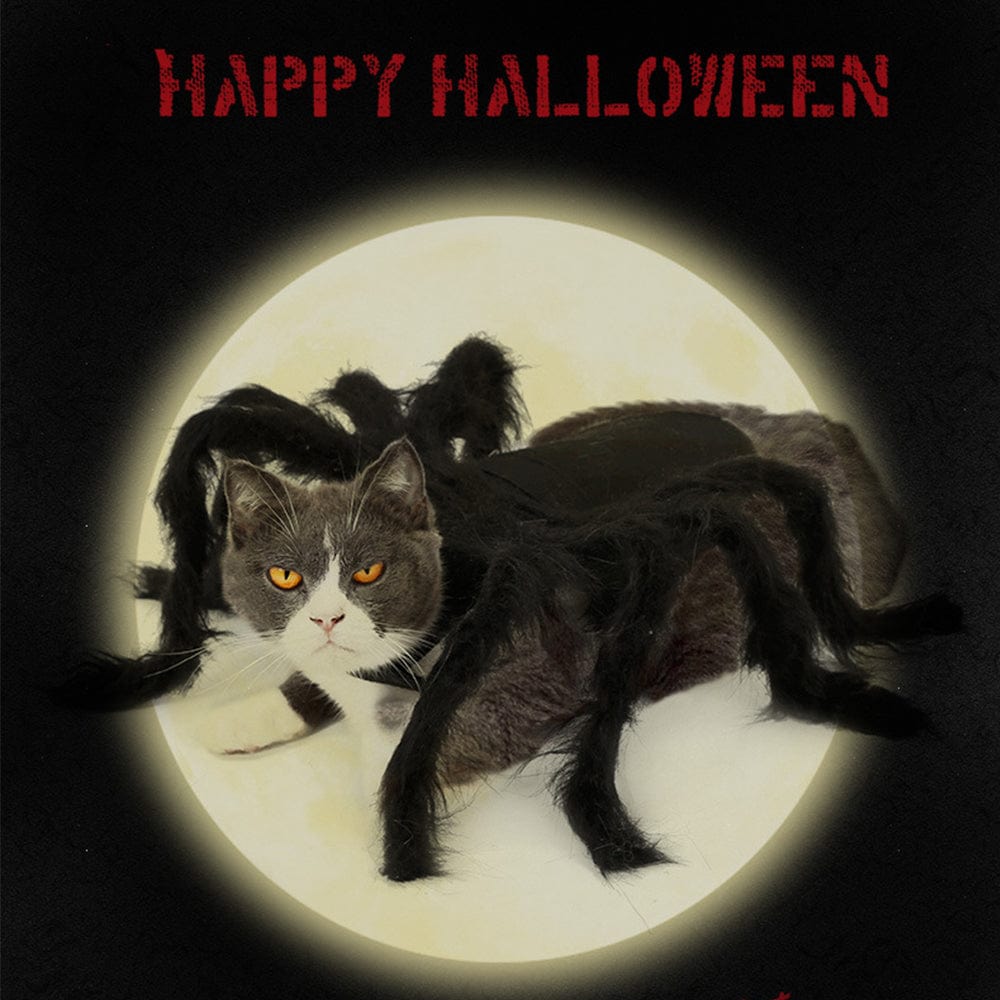 Halloween Pet Spider Costume Spider Cosplay Costumes with Adjustable Velcro for Small Medium Dogs and Cats - Image 2