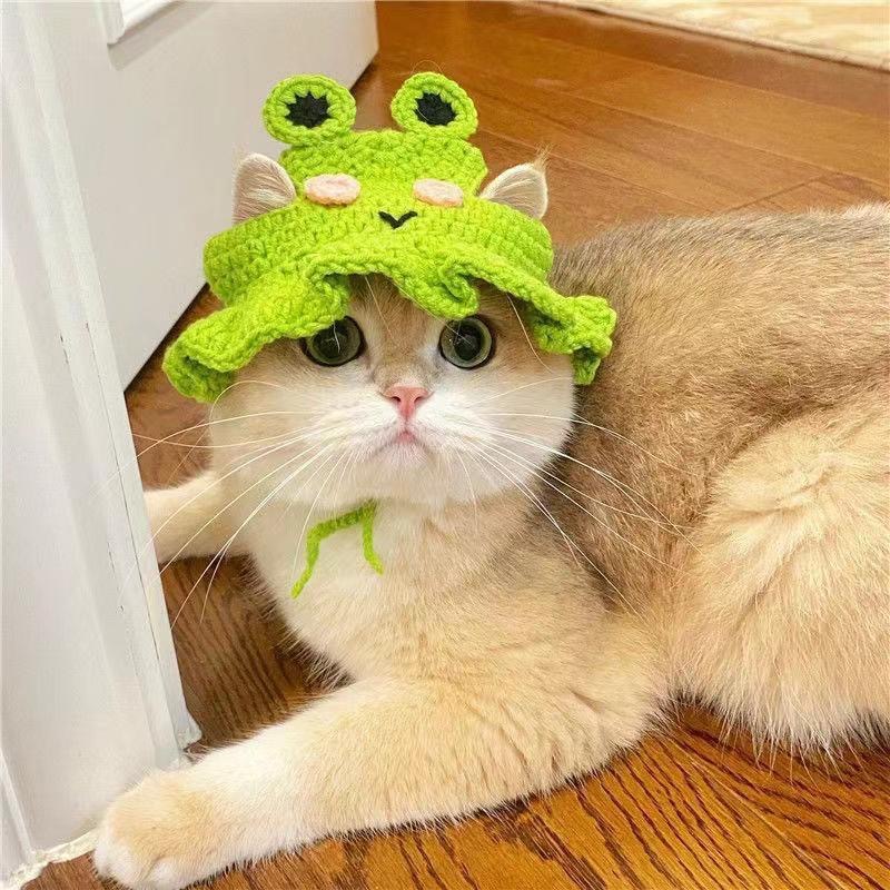 Cute Hand Crochet Pet Hat, Cartoon Character Knitted Headwear for Cats & Small Dogs