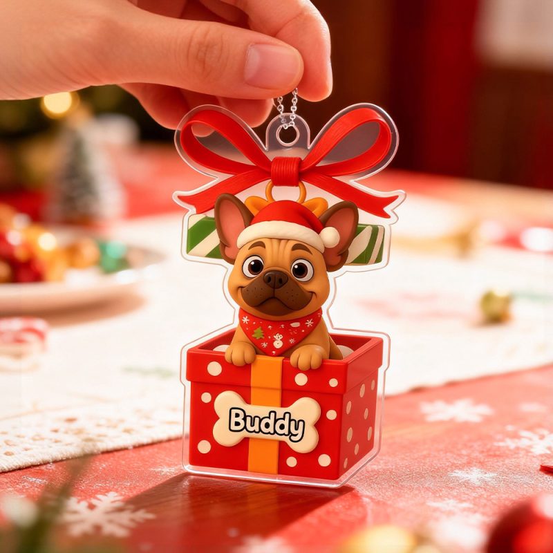 Custom Acrylic Car Hanger Pet Love In Stocking for Cute Pets Cats Christmas Gifts Lovely Gift In Memory of Your Pets Existence – SantaSocks