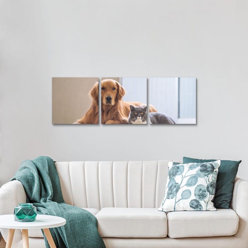 Dog Memorial Gift Photo Canvas Wall Art Gift For Dog Lover – 3pcs