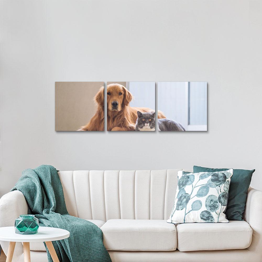 Dog Memorial Gift Photo Canvas Wall Art Gift For Dog Lover - 3pcs