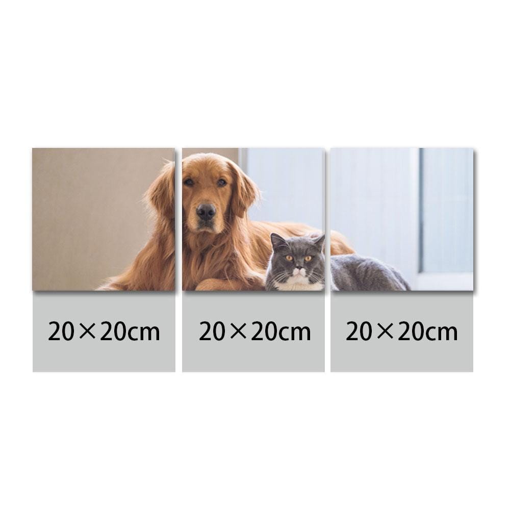 Dog Memorial Gift Photo Canvas Wall Art Gift For Dog Lover - 3pcs - Image 2