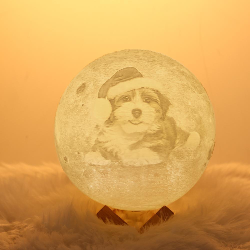 Moon Lamp Christmas Gift For Dog Owner - Touch Two Colors (10-20cm)