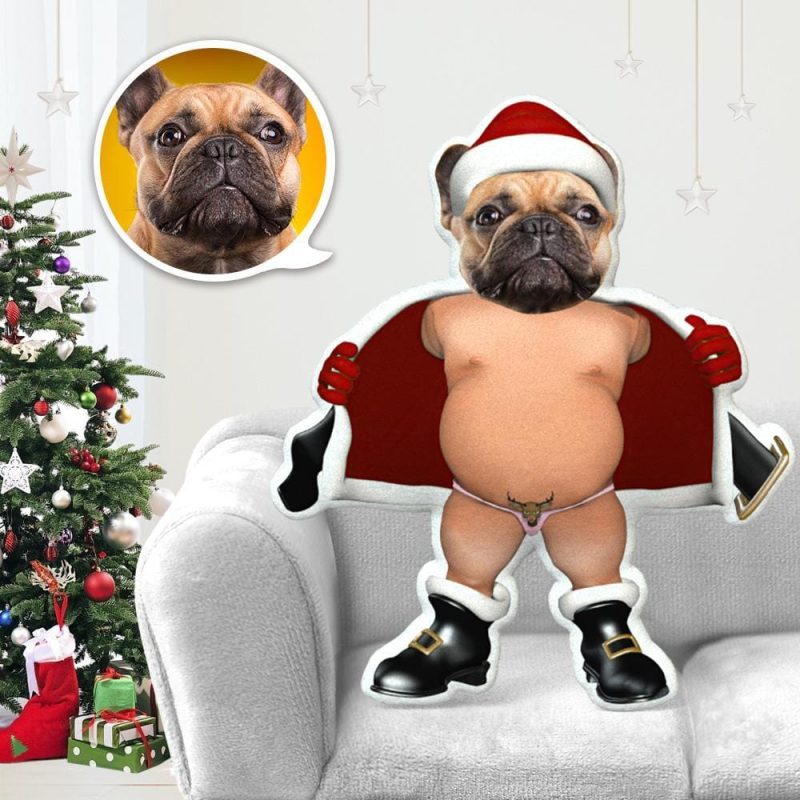 Minime Pillow Pet Photo Pillow Gifts for Dog Lovers Bikini Santa Costume Christmas Gifts