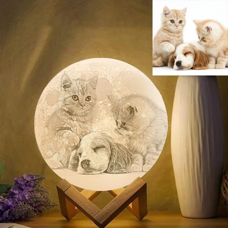 Pet Sympathy Gift Photo Moon Lamp – Tap Three Colors