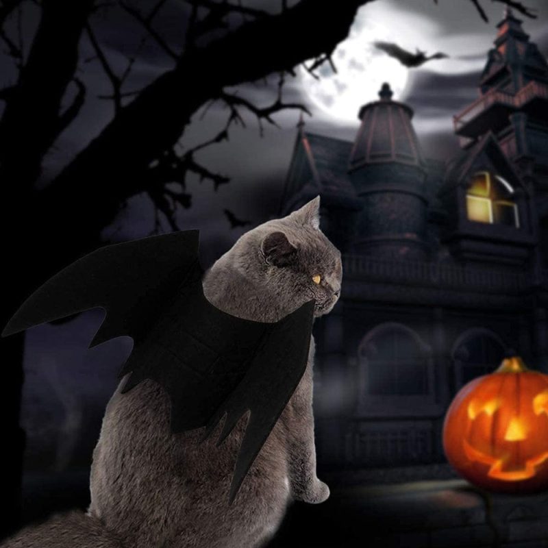 Halloween Pet Cat Costume Bat Wings Pet Costumes Pet Apparel for Small Dogs and Cats
