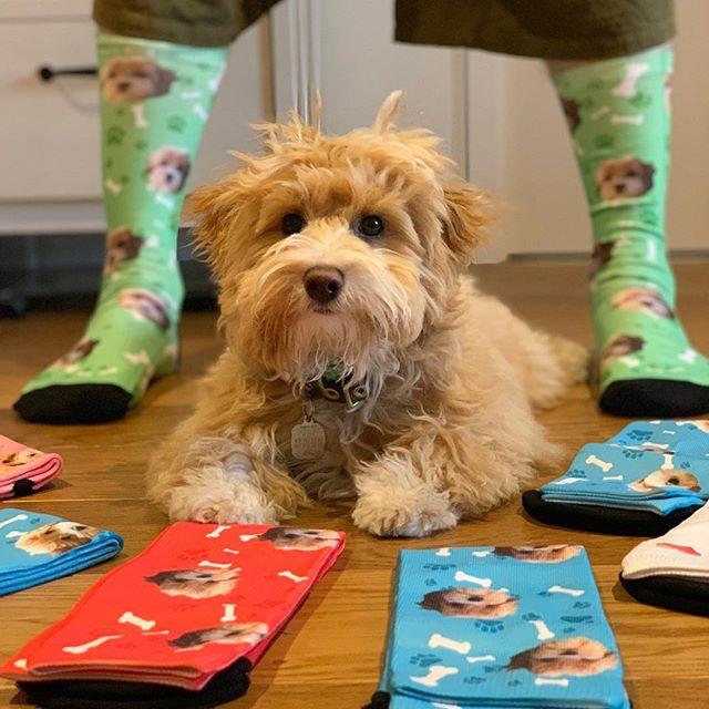 Dog Socks Dog Memorial Valentine's Gifts For Dog Lovers