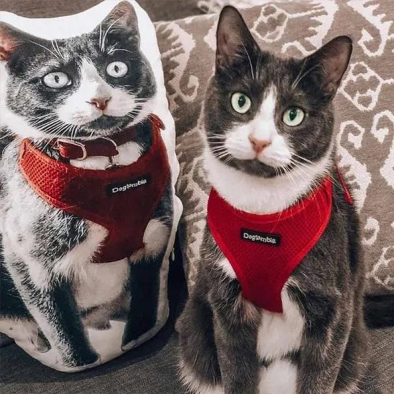 Personalized Gifts For Cat Lovers 3D Portrait Pillow Memorial Gifts