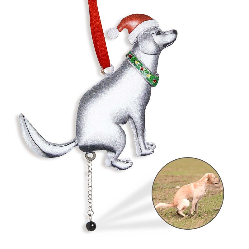 Personalized Projection Photo Christmas Ornament Funny Dog Ornament Gifts for Pet Lovers