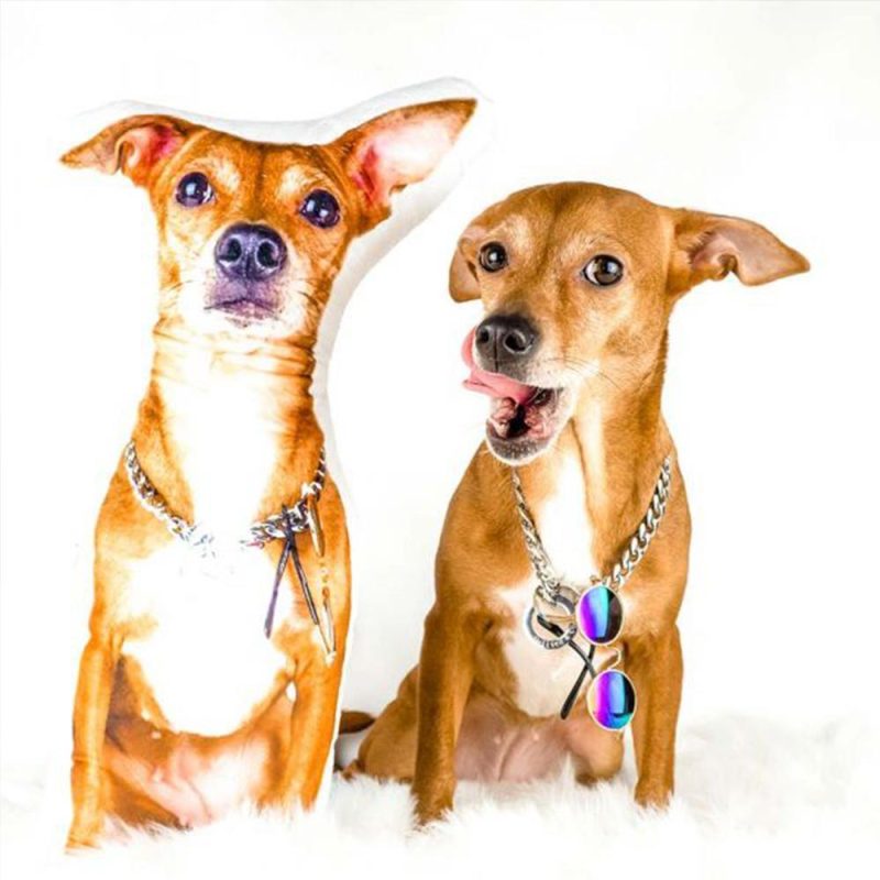 Dog Memorial Gifts Custom Throw Pillow Gifts For Dog Lovers
