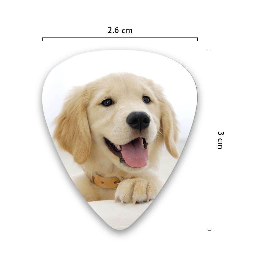 Dog Memorial Gift Photo Guitar Pick Gift For Dog Lovers - 12pcs - Image 2