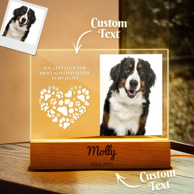 Custom Dog Photo Night Light Acrylic Engraved Lamp in Memory of Pet