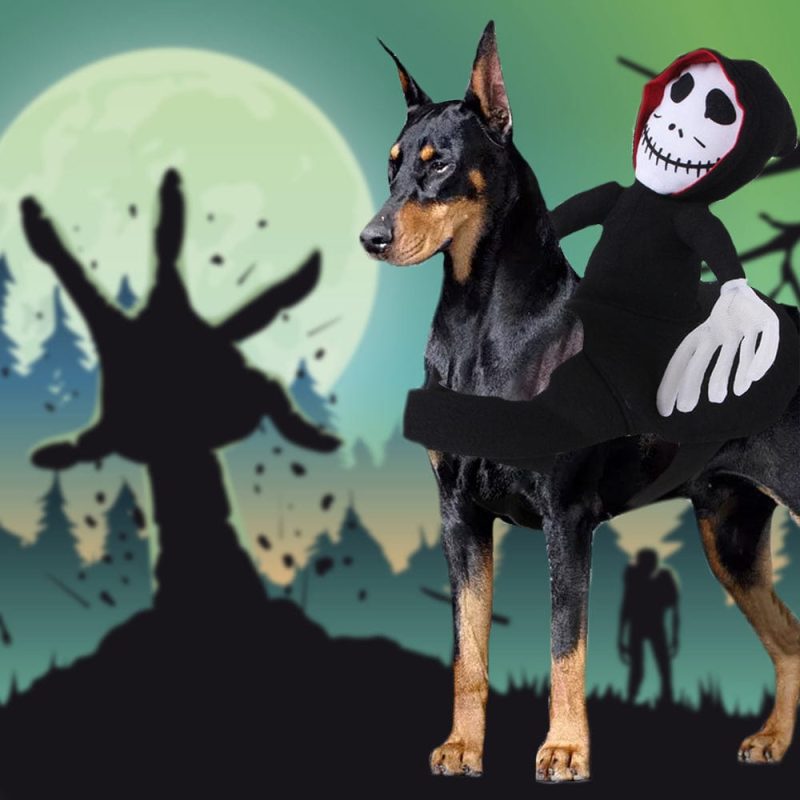 Halloween Ghost Pet Costume Pet Cosplay Halloween Grim Reaper Rider Style Costume for Small Medium and Large Dogs