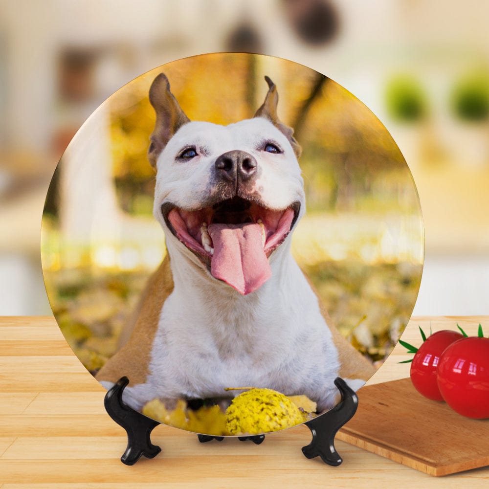 Custom Plates Photo Ceramics Plate Tableware Gifts for Pet Lovers - Image 2