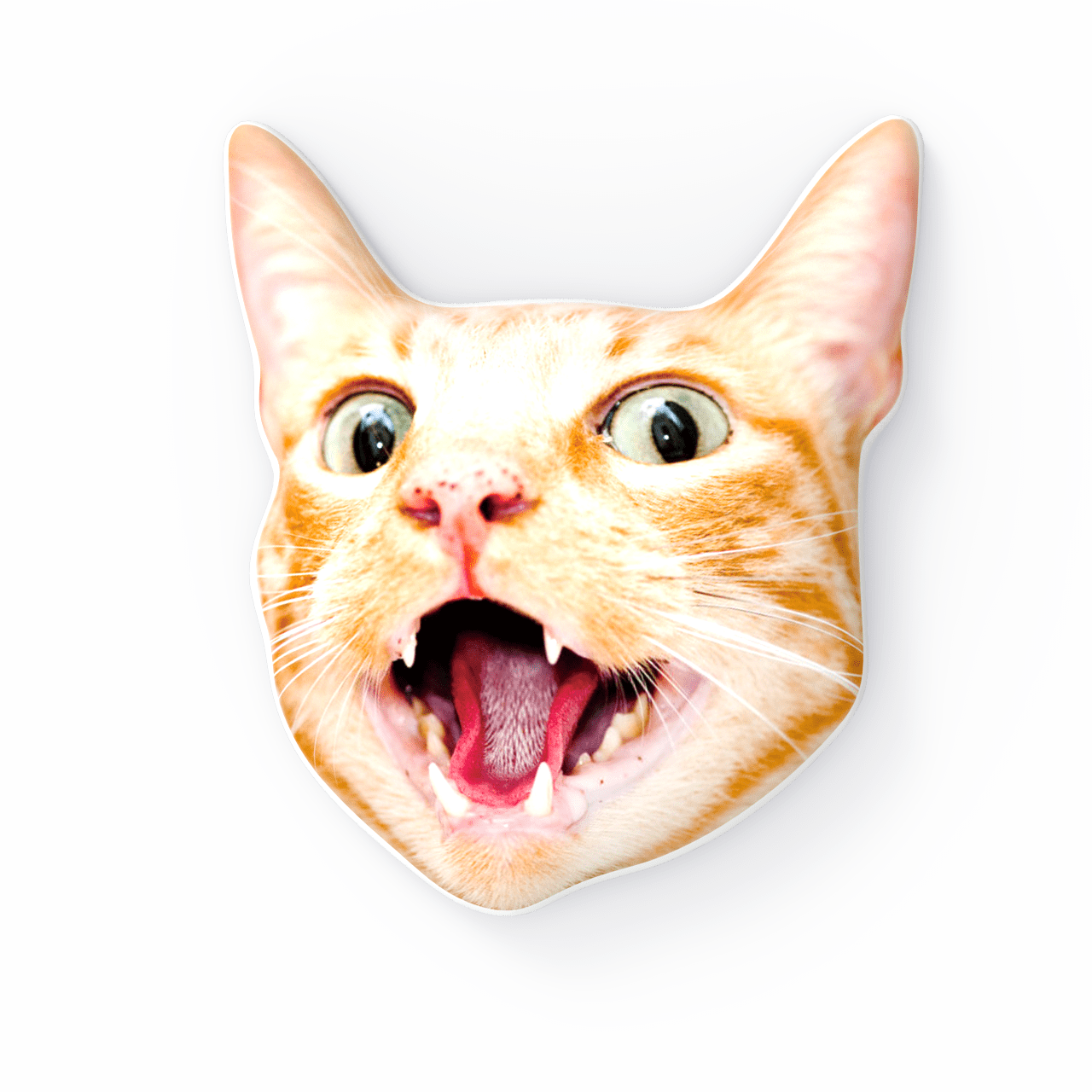 Cat Face Pillow Living Room Gifts For Pet Lover - Image 2