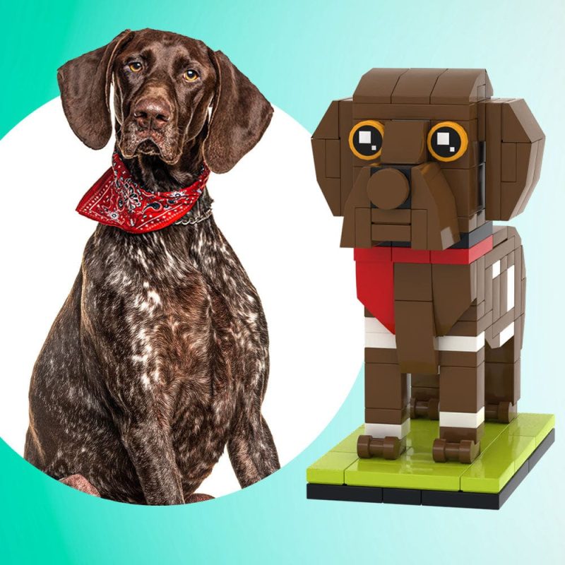 Fully Body Customizable German Shorthaired Pointer 1 Dog Photo Custom Brick Figures Small Particle Block Brick Me Figures