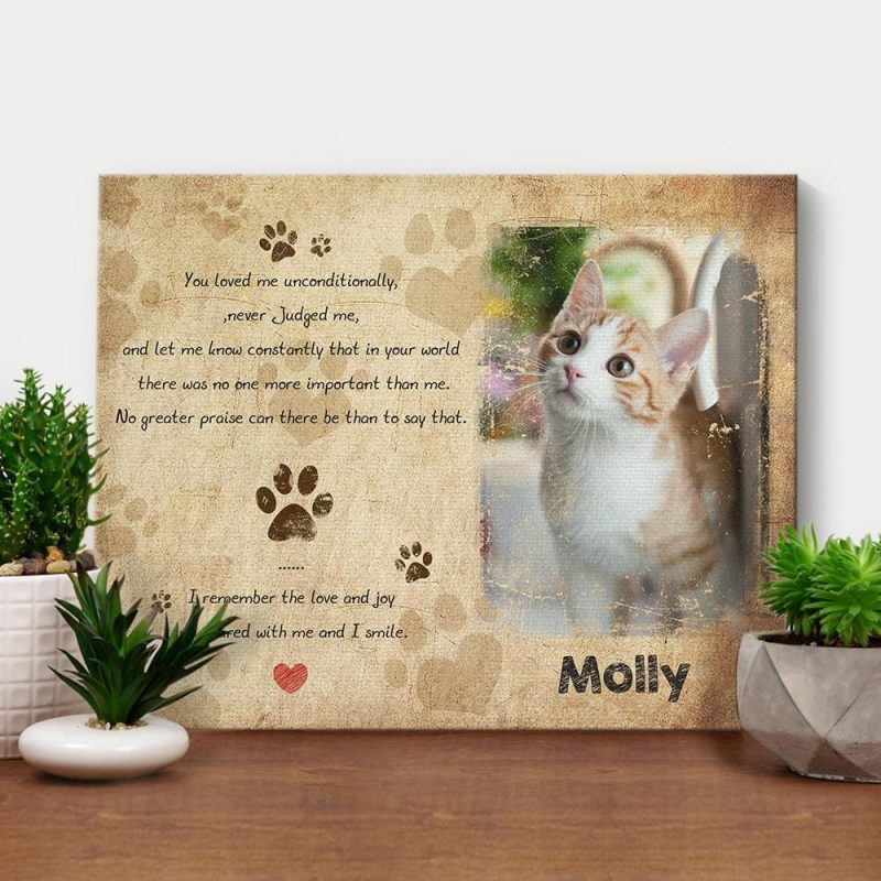 Pet Loss Gift Framed Canvas Gifts For Cat Lover