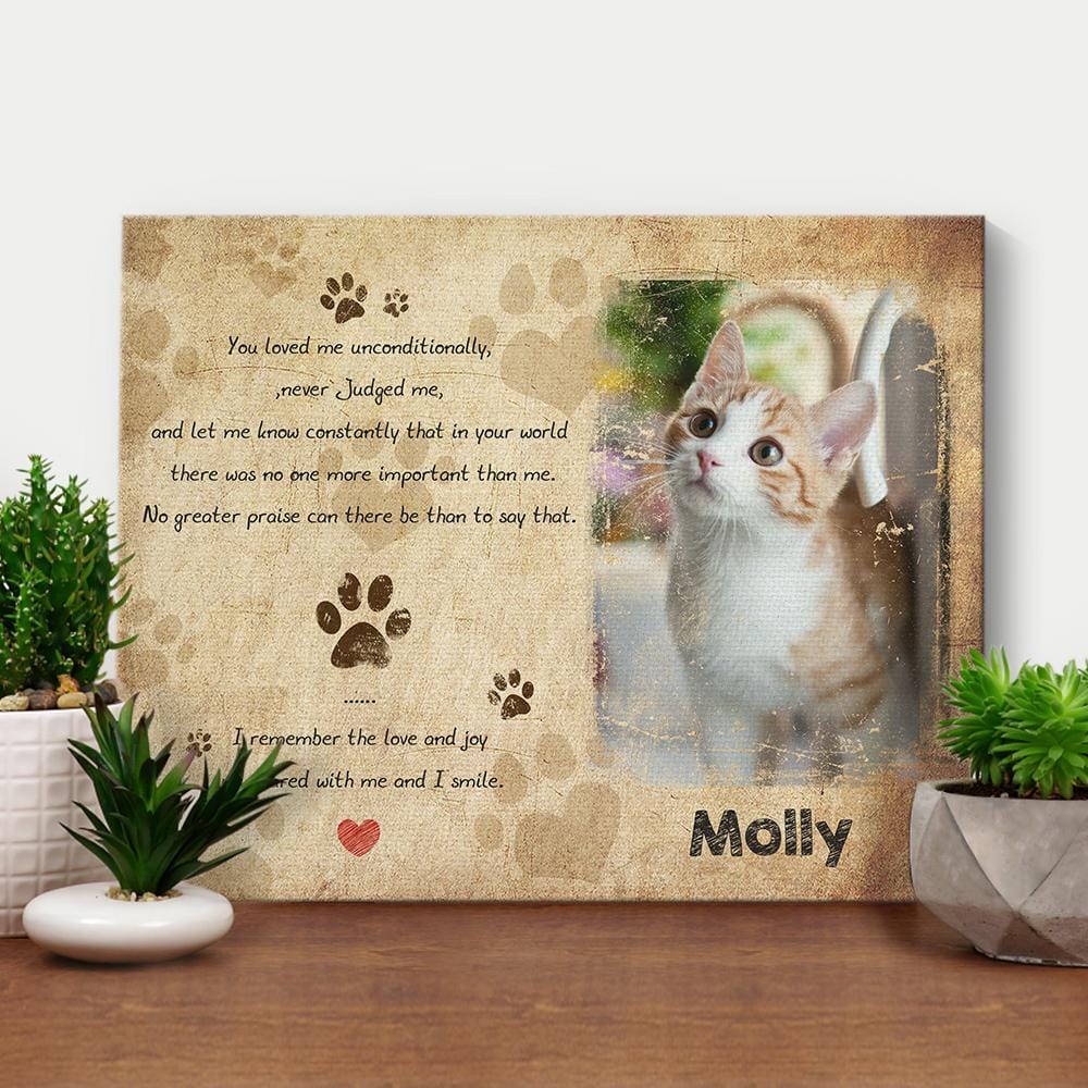 Pet Loss Gift Framed Canvas Gifts For Cat Lover