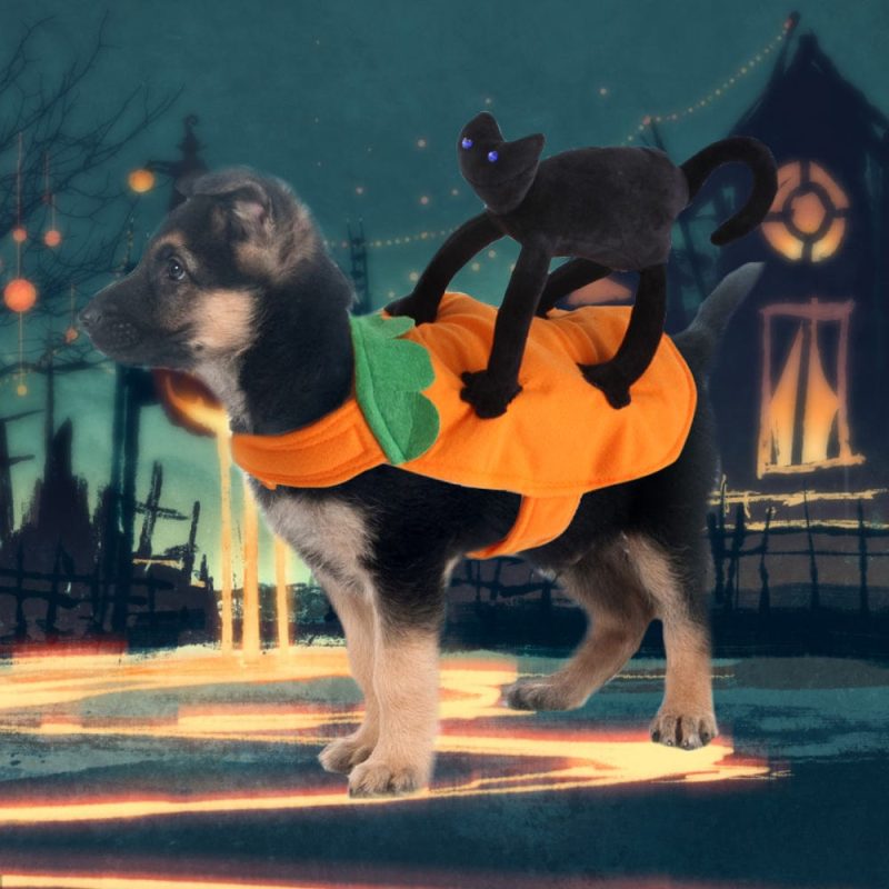 Halloween Pet Cosplay Halloween Costume Carrying Pumpkin Clothes with Cartoon Black Cat Pet Costume