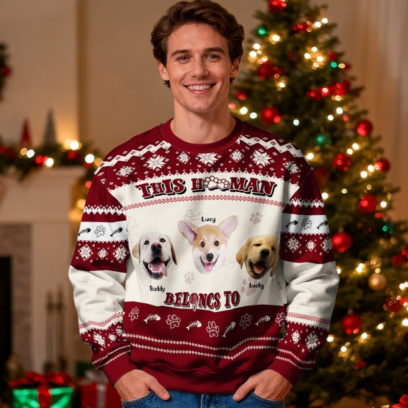 Custom Face Round Neck Hoodie Personalized Custom Photo Christmas Gifts For Family Cute Pet Face Sweater Xmas Leds Unisex Hoodies – SantaSocks
