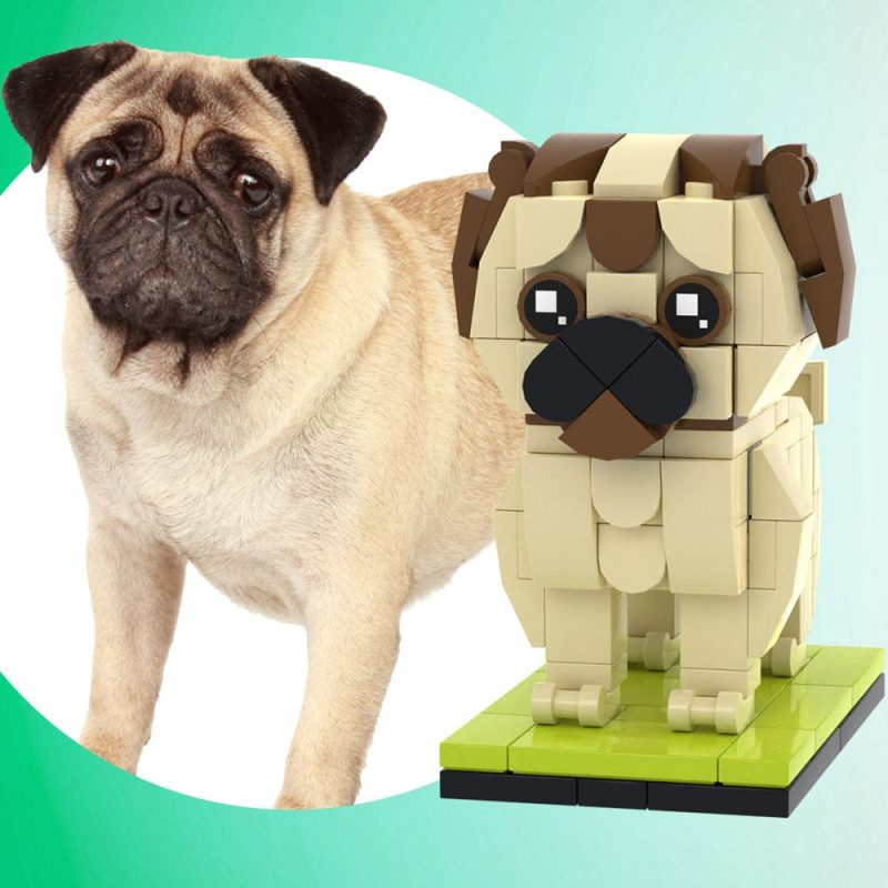 Fully Body Customizable British Bulldog 1 Dog Photo Custom Brick Figures Small Particle Block Brick Me Figures Customized British Bulldog Only