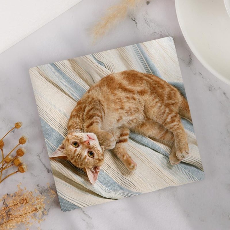 Cat Memorial Gift Photo Coaster for Cat Lover