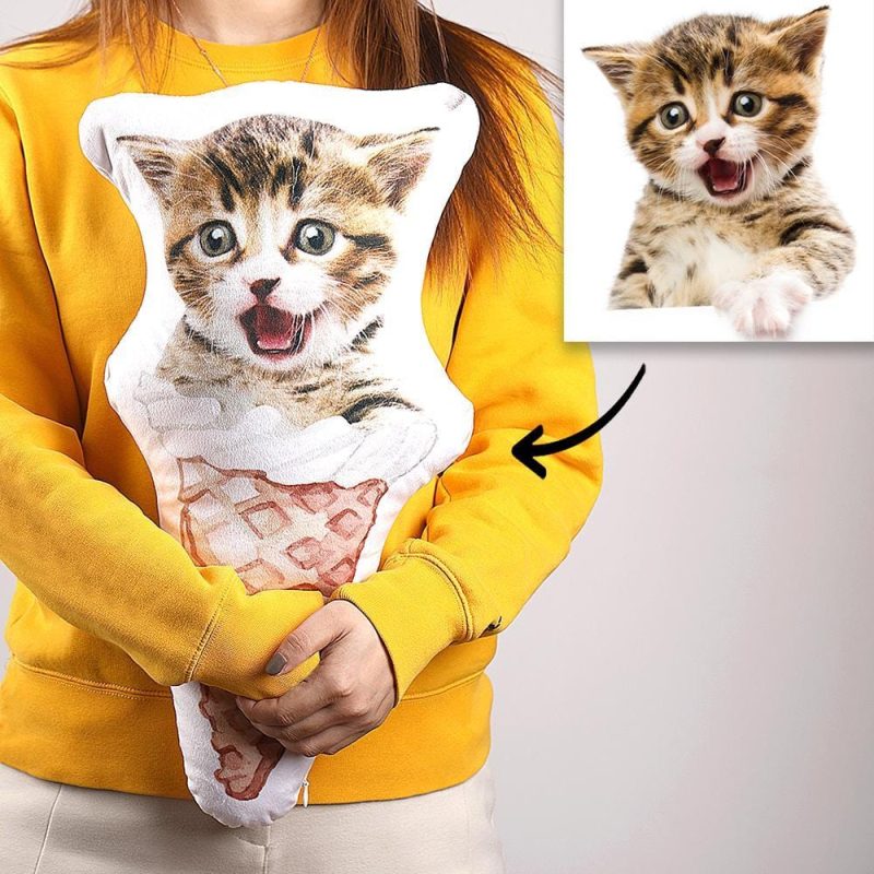 Ice Cream Cone 3D Portrait Personalized Photo Pillow