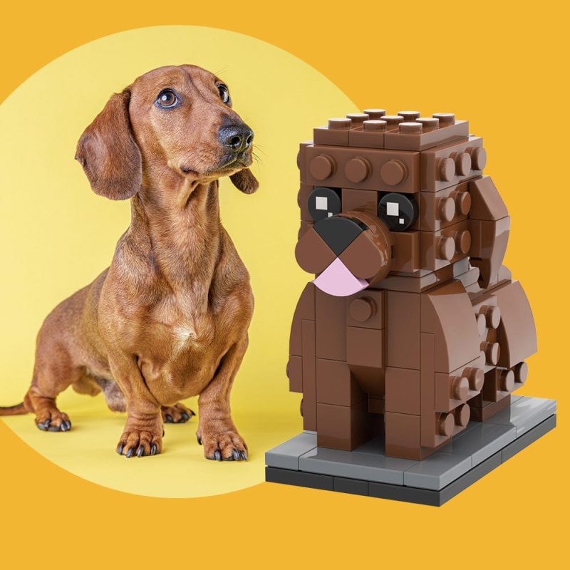 Fully Body Customizable Dachshund 1 Dog Photo Custom Brick Figures Small Particle Block Brick Me Figures Customized Dachshund Only