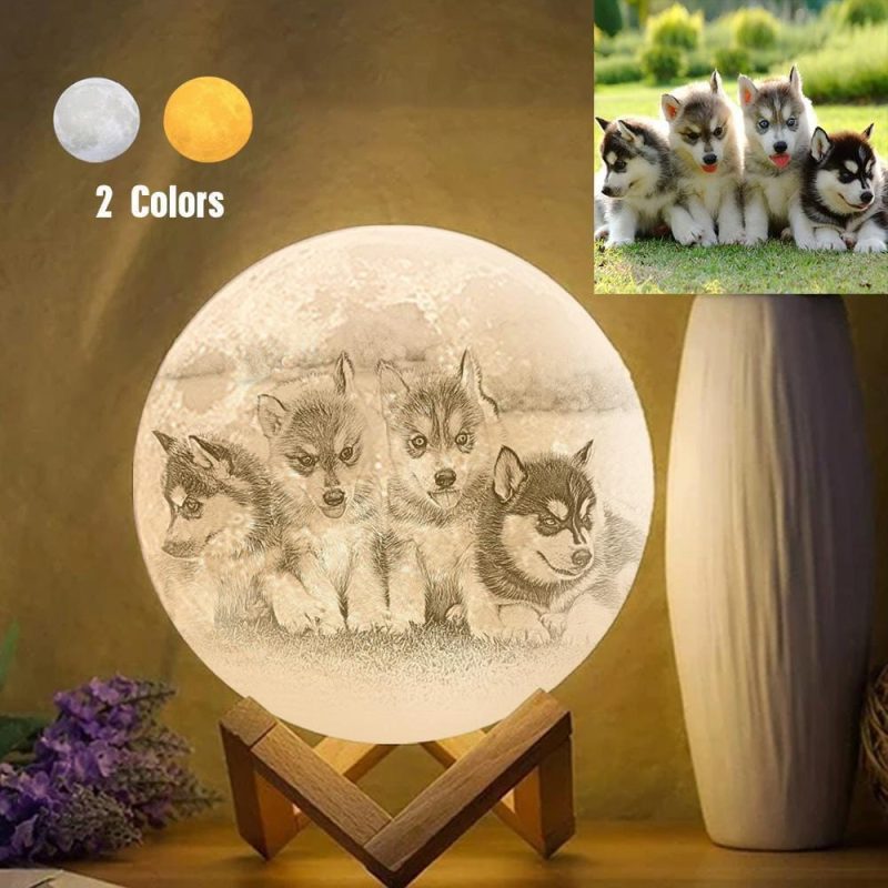 Pet Sympathy Gift Custom Moon Lamp – Touch Two Colors