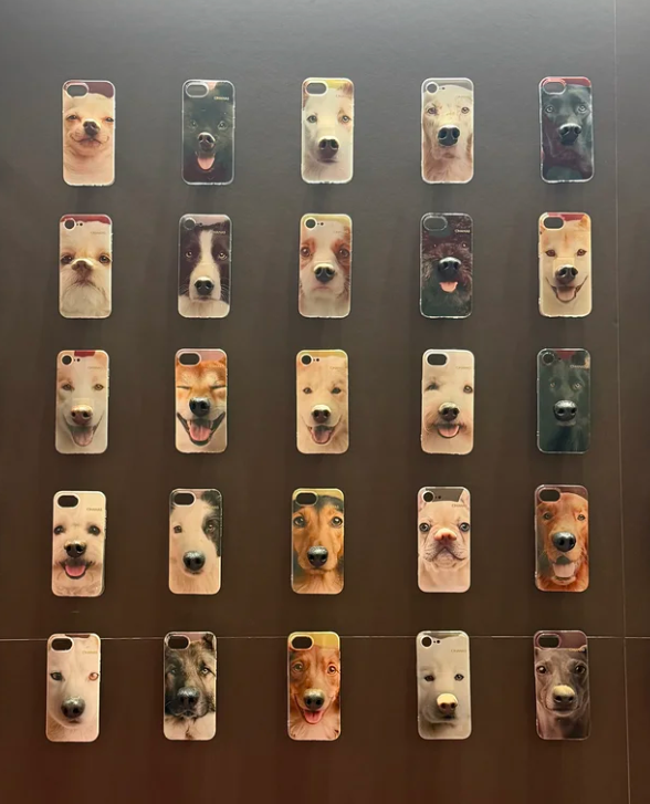 Custom Pet Dog Photo Phone Case with 3D Squishy Nose, Personalized Squeeze Nose With Name iPhone Case