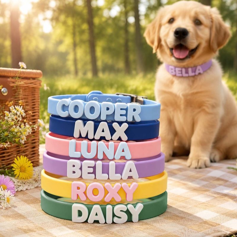 Custom Name Pet Collar With Engraved Letter Charm Personalized Waterproof Silicone Dog Collar Leash Set 8