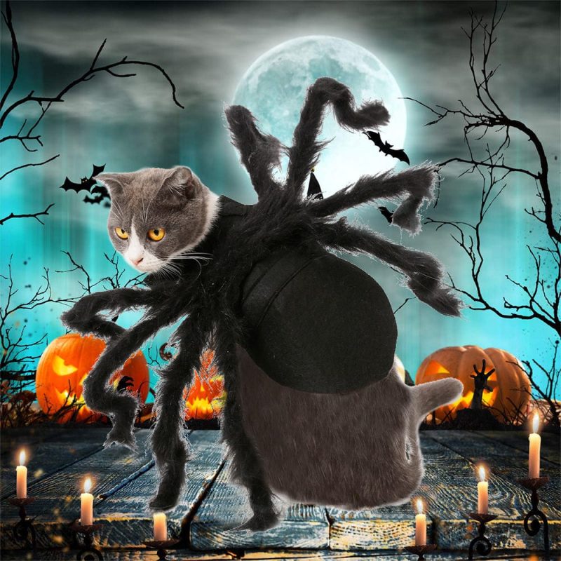 Halloween Pet Spider Costume Spider Cosplay Costumes with Adjustable Velcro for Small Medium Dogs and Cats